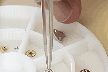 郑州江诗丹顿上了劲以后为什么不走